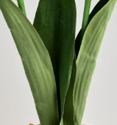 Tanaman Tulip Buatan 2 Tangkai Bunga Tulip Palsu Dengan Pot Plastik Berbagai Warna Dekorasi Meja Rumah