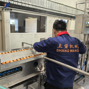 Toàn bộ dây chuyền sản xuất bột trứng chất lỏng làm lòng đỏ trứng lòng đỏ trứng Chế biến bột trắng với thanh trùng - Product Image 5