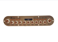 Module amplificateur DSP Type C TF AUX pour casque, guitare, micro, TWS, karaoké et enregistrement