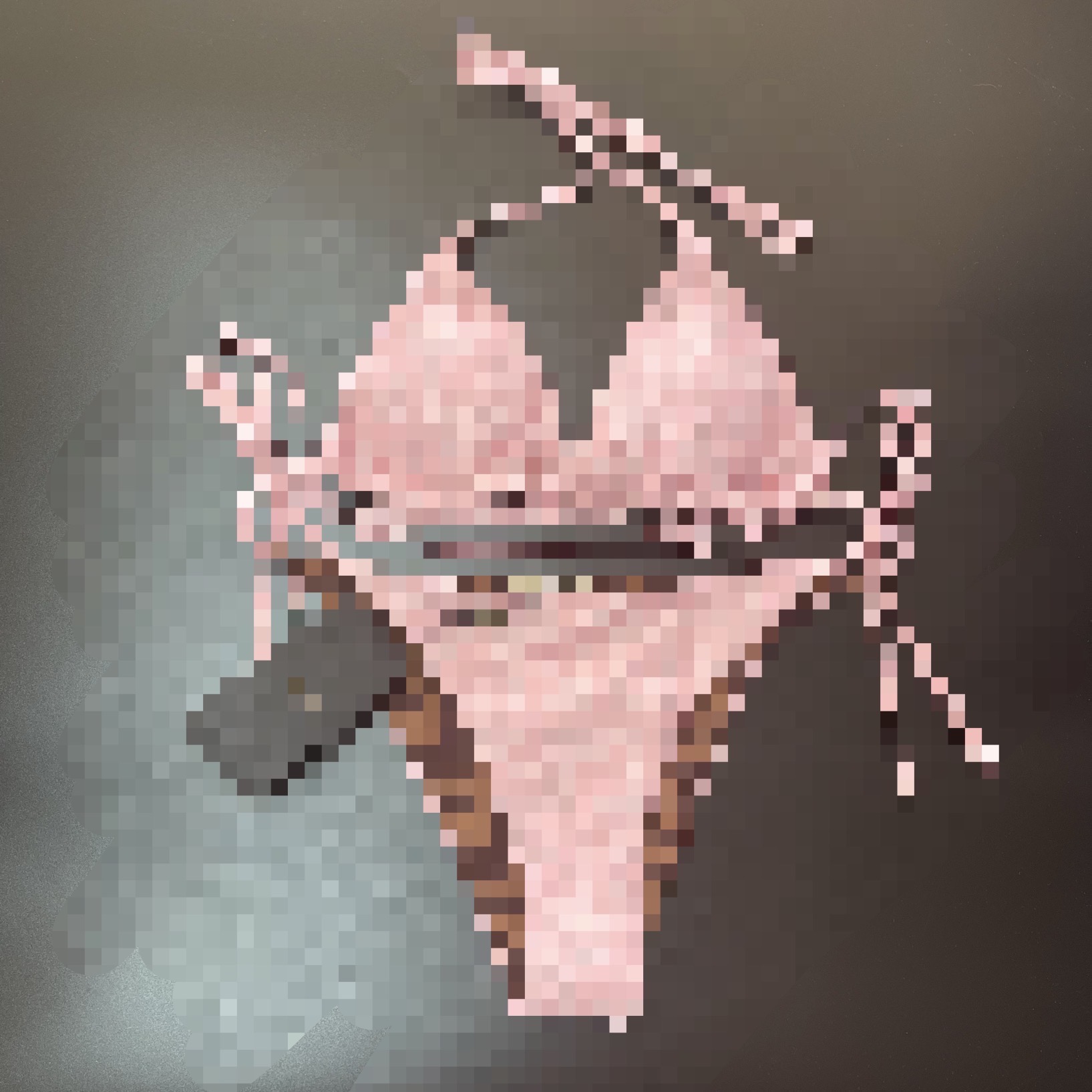 bikini rose