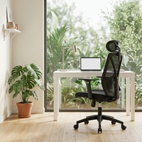 Chaise de bureau en maille avec dossier réglable et fonction ergonomique multifonctionnelle