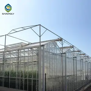 ISO Certification Supplier Hydroponic Greenhouse Polycarbonate Greenhouse prefabricated house professional greenhouses