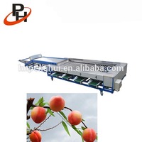 Automatische Plantaardig Fruit Gewicht Aardappelui Tomaat Knoflook Oranje Appel Sorteermachine