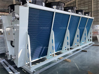 Unité de refroidissement par condenseur industriel refroidi par air pour système de stockage d'énergie par batterie (BESS) conteneurisé, gestion thermique HVAC