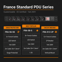 Unité de distribution d'alimentation (PDU) basique sur mesure 16A en aluminium pour la France avec impression de logo pour projets OEM et propriétaires de marques