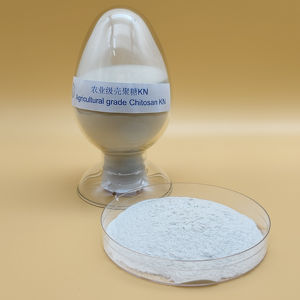 Categoria agrícola 90% DAC pó natural KN do chitosano para o adubo biológico - Product Image 1