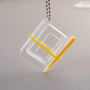 Fiambrera <span class=keywords><strong>de</strong></span> juguete <span class=keywords><strong>de</strong></span> comida rápida DIY en miniatura, embalaje <span class=keywords><strong>de</strong></span> plástico transparente desechable para <span class=keywords><strong>casa</strong></span> <span class=keywords><strong>de</strong></span> <span class=keywords><strong>muñecas</strong></span>, Mini fiambrera <span class=keywords><strong>de</strong></span> simulación - Product Image 2