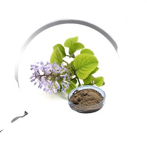 Extracto de Tomillo en Polvo, Grado Alimenticio, 10:1, Extraído con Solvente, Empaquetado en Tambor - Product Image 2