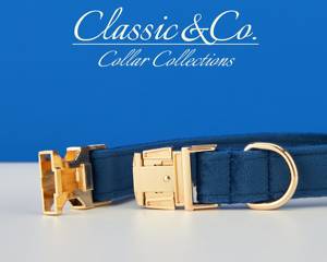 Collier et laisse pour chien en métal gravé personnalisé avec le nom de l'animal, bleu royal, avec cloche et nœud, livraison gratuite - Product Image 5