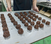 Nouvelle machine à déposer des grappes de noix enrobées de chocolat multifonctionnelle en acier inoxydable alimentée par prise électrique pour usage en boulangerie