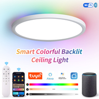 Plafonnier LED 24W 36W Ultra-Fin à Montage Affleurant Panneau RGB Dimmable 3000K-6500K Réglable Lampe Intérieure Européenne pour Chambre à Coucher