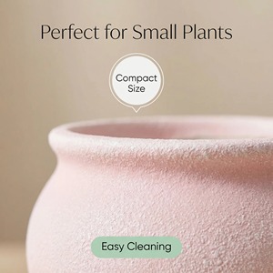 Macetas de Cerámica para Suculentas, Macetas para Plantas, Adornos de Jardín, Interior y Exterior, Precio al por Mayor, Diseño - Product Image 6