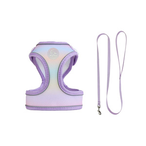 SinSky Manufacturer New Design Rainbow <strong>Cat</strong> Dog <strong>Harness</strong> Set Hard Wearing Terylene Walking Dog <strong>Cat</strong> <strong>Harness</strong> and Leash - Product Image 3
