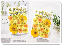 Sac de mélange de fleurs pressées série quatre saisons assortiment de fleurs et de feuilles colorées pour maquillages en résine