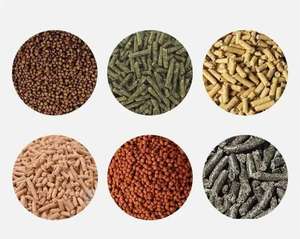 Granulador de molde de nivel trifásico, alimentación multiusos, fertilizante orgánico, compresión de combustible - Product Image 5