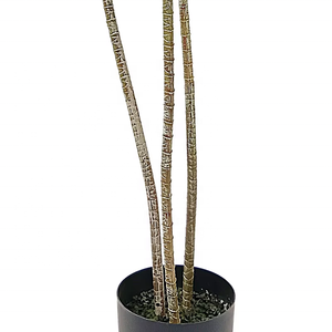Fábrica al por mayor plantas suculentas <span class=keywords><strong>Agave</strong></span> hierba de plástico <span class=keywords><strong>Agave</strong></span> artificial para decoración interior exterior - Product Image 6