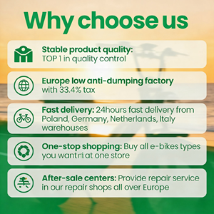 จักรยานเสือภูเขาไฟฟ้าพับได้ยอดนิยมจากยุโรป ดีไซน์สำหรับเมืองและถนน 36V 7 สปีด ใช้งานได้หลากหลาย พกพาสะดวก - Product Image 5