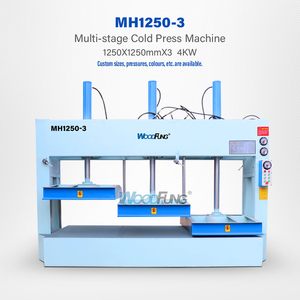 Woodfung Carpintería 60ton Madera contrachapada Puerta hidráulica <span class=keywords><strong>Prensa</strong></span> en frío Máquina de <span class=keywords><strong>prensa</strong></span> en frío de alta presión para hacer puertas - Product Image 6