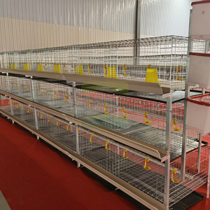 Cage à poulets de type H économique, cage galvanisée, équipement d'élevage avicole automatique pour les petites et moyennes exploitations - Product Image 3