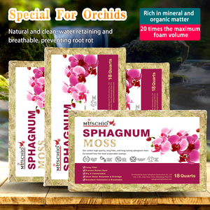 Moldable Modern Eco-friendly Sphagnum Moss for Small <strong>Orchid</strong> Kokedama Moss Balls and <strong>Orchid</strong> Mounting on Cork <strong>Bark</strong> &amp; Driftwood - Product Image 1