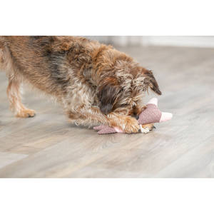 Juguete de Peluche de Conejo de 24 cm para Mascotas, Juguete para Masticar - Product Image 5