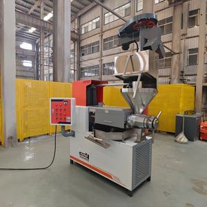 Máquina Automática para Prensar Aceite de Semillas de Girasol y Cacahuetes Dingsheng de Bajo Consumo - Product Image 2