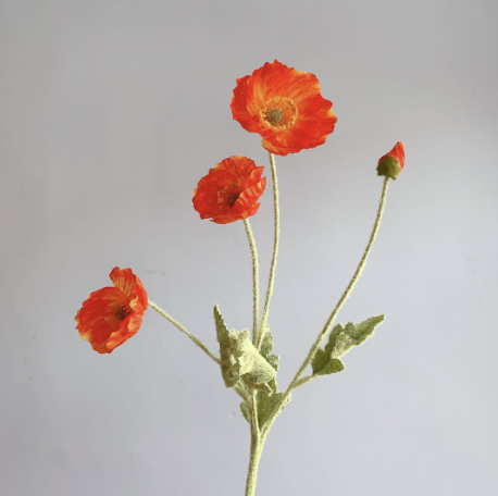 Dark Orange