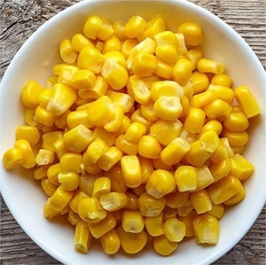 Maïs sucré en grains en conserve de qualité supérieure, légumes en conserve, maïs sucré en grains en conserve, prix d'usine, maïs en grains en conserve en gros - Product Image 2