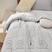 Échantillon gratuit de couette ultra douce toutes saisons avec insert de couette couettes matelassées couette de literie alternative en duvet avec onglets d'angle