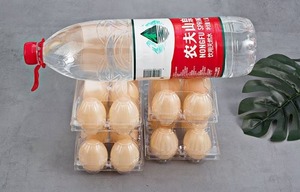 Bandejas de huevos de plástico Caja porta huevos de gallina Bandeja de embalaje reutilizable para huevos de gallina - Product Image 6