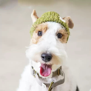 <span class=keywords><strong>Gorro</strong></span> de ganchillo hecho <span class=keywords><strong>a</strong></span> mano con dibujos animados <span class=keywords><strong>para</strong></span> mascotas, <span class=keywords><strong>gorro</strong></span> de animales <span class=keywords><strong>para</strong></span> <span class=keywords><strong>perros</strong></span> y gatos, accesorio <span class=keywords><strong>para</strong></span> fotos y uso diario, nuevo al por mayor - Product Image 4