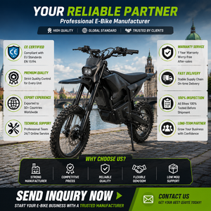 Motocicleta Eléctrica Todoterreno con 250 Nm de Torque, 7000 W de Potencia Máxima, Frenos Hidráulicos, Acero con Alto Contenido de Carbono, para <span class=keywords><strong>Enduro</strong></span> - Product Image 6