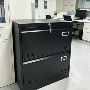 Armadio Archivio in Metallo, Armadietto Metallico, Armadietti per Archiviazione in Acciaio, <span class=keywords><strong>Mobile</strong></span> Archivio per Ufficio <span class=keywords><strong>con</strong></span> 2 Cassetti - Product Image 4