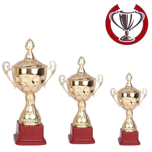 Juego de Trofeos Metálicos para Torneos de Billar con Opción de Grabado para Eventos Deportivos - Product Image 1