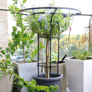 Support de plante en métal galvanisé enduit de PE anti-UV et antirouille de 180 cm/6 pieds pour roses, légumes, jardin extérieur, treillis parapluie - Product Image 1