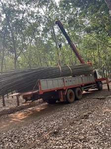 MATERIAL DE BAMBÚ FRESCO, TUBO DE BAMBÚ DIVIDIDO, PALOS DE BAMBÚ DE BLUE LOTUS TEAM 2024 - Product Image 6