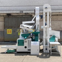 Machine d'épluchage de balle de riz combinée 1 tonne par trieuse de couleur de machine de moulin à riz d'heure/machine de polissage de riz