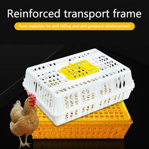 Usine vente plastique volaille chiffre d'affaires boîte volaille poulet canard pliable élevage transport Cage - Product Image 2