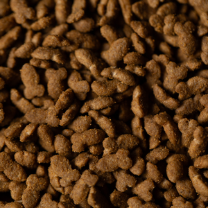 מזון יבש לכלבים, ללא דגנים, מזין, מאוזן, פורמולה מדעית, צורות מגוונות, בריא, יבוא ישיר מהמפעל הסיטונאי - Product Image 5