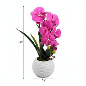 16.5 \ "orchidea artificiale con vaso 12 pz/CS simulazione verde - Product Image 2