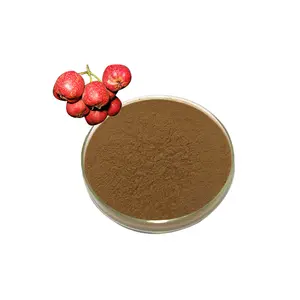 High Quality Vitexin 2% 10:1 20:1 Hawthorn Berry Fruit Extract Powder