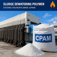 Poudre de floculant cationique PAM CPAM pour le traitement de l'eau et des boues