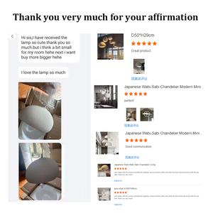 Lámpara Colgante de Resina Moderna Retro al por Mayor, Tamaño Mediano, para Sala de Estar, Comedor, Tienda de Ropa, Iluminación, Araña - Product Image 2