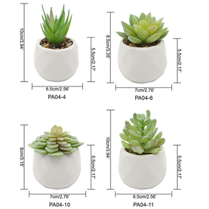 Cây Mọng Nước Nhân Tạo Giả Nhỏ, Cây Nhỏ Nhân Tạo Trong Chậu Để Bàn, Trang Trí Văn Phòng, Ban Công - Product Image 5