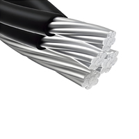 Venta al por mayor ABC Cable Conductor de aluminio XLPE PE LDPE PVC aislado Cable de caída superior Cobre Duplex Triplex Servicio Quadruplex