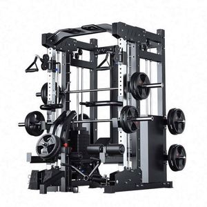 Station d'entraînement de force à domicile professionnelle multifonctionnelle en plastique ABS et acier, durable et écologique - Product Image 1
