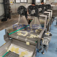 Populaire Franse frietproductielijn, continue friteuse voor aardappelchips, aardappel-friteuse machine