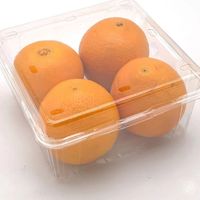 Boîtes à clapet en plastique PET d'usine Boîte d'emballage de fruits jetables