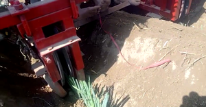 Machine de plantation d'<span class=keywords><strong>oignon</strong></span> vert autopropulsée, équipement de plantation de chou chinois quatre ronds - Product Image 2