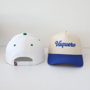 Gorra de Béisbol de 5 Paneles Personalizada con Bordado, Estilo Deportivo con Logotipo Impreso en Dos Tonos, Gorra de Béisbol Moderna sin Estampado - Product Image 4